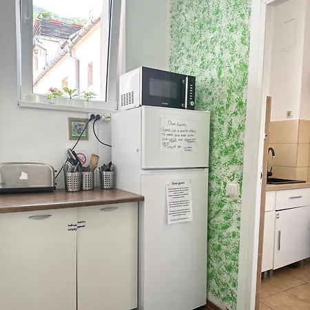 Centrum House Hostel *